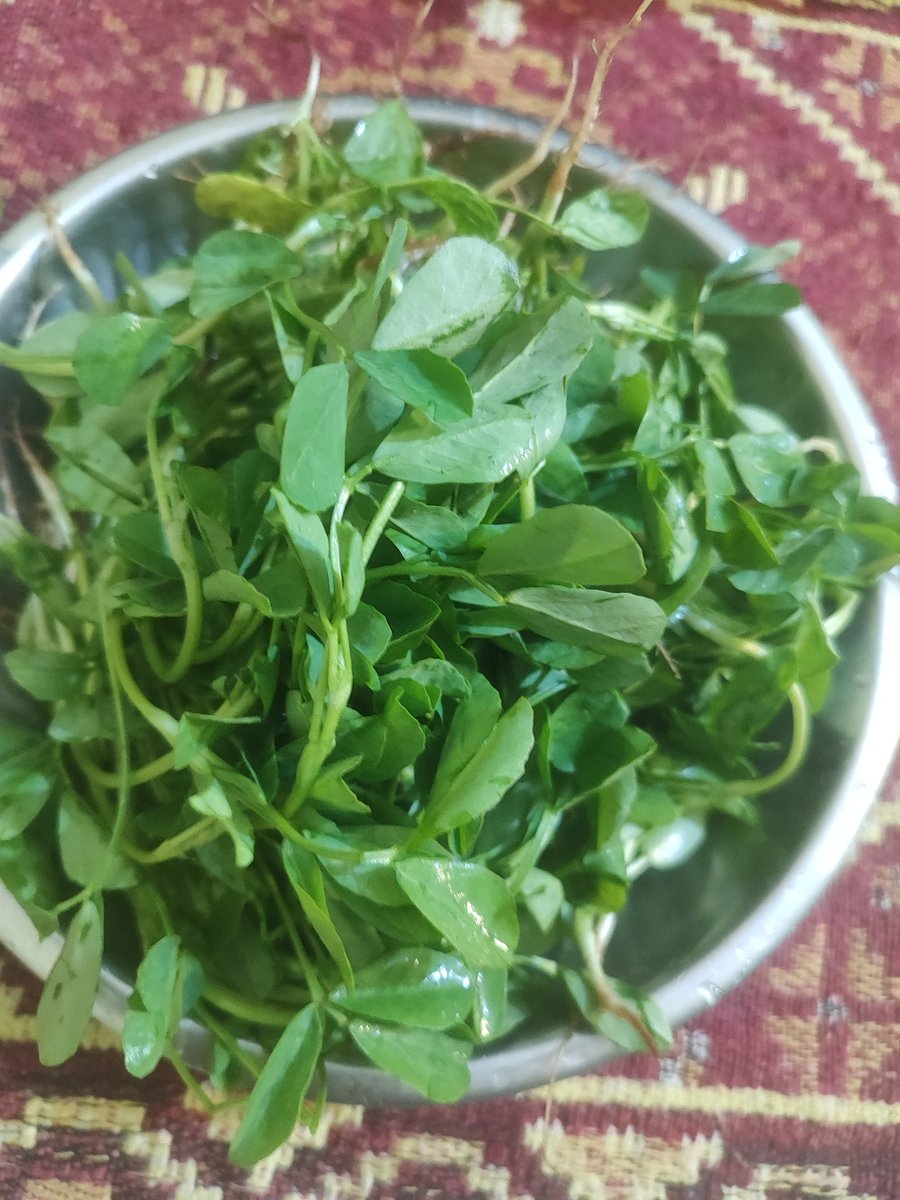 Itismita 🇮🇳 tweet media