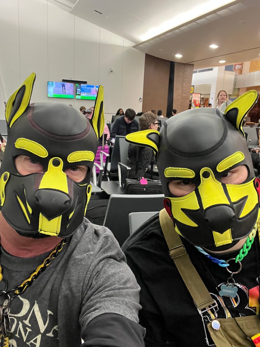 beekeeper. home a min tweet media