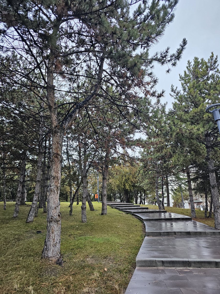 Günaydın iyiler 
Mutlu haftasonları 🍀🐞🦋☕️🙋‍♀️