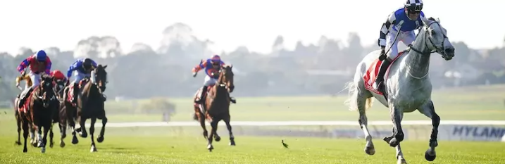 Tasmania takes centre stage today, headlined by the Group 3 Hobart Cup which jumps at 4:45pm AEDT, as part of a massive 10-race program!

Free Hobart Racing Tips: beforeyoubet.com.au/hobart-racing-…