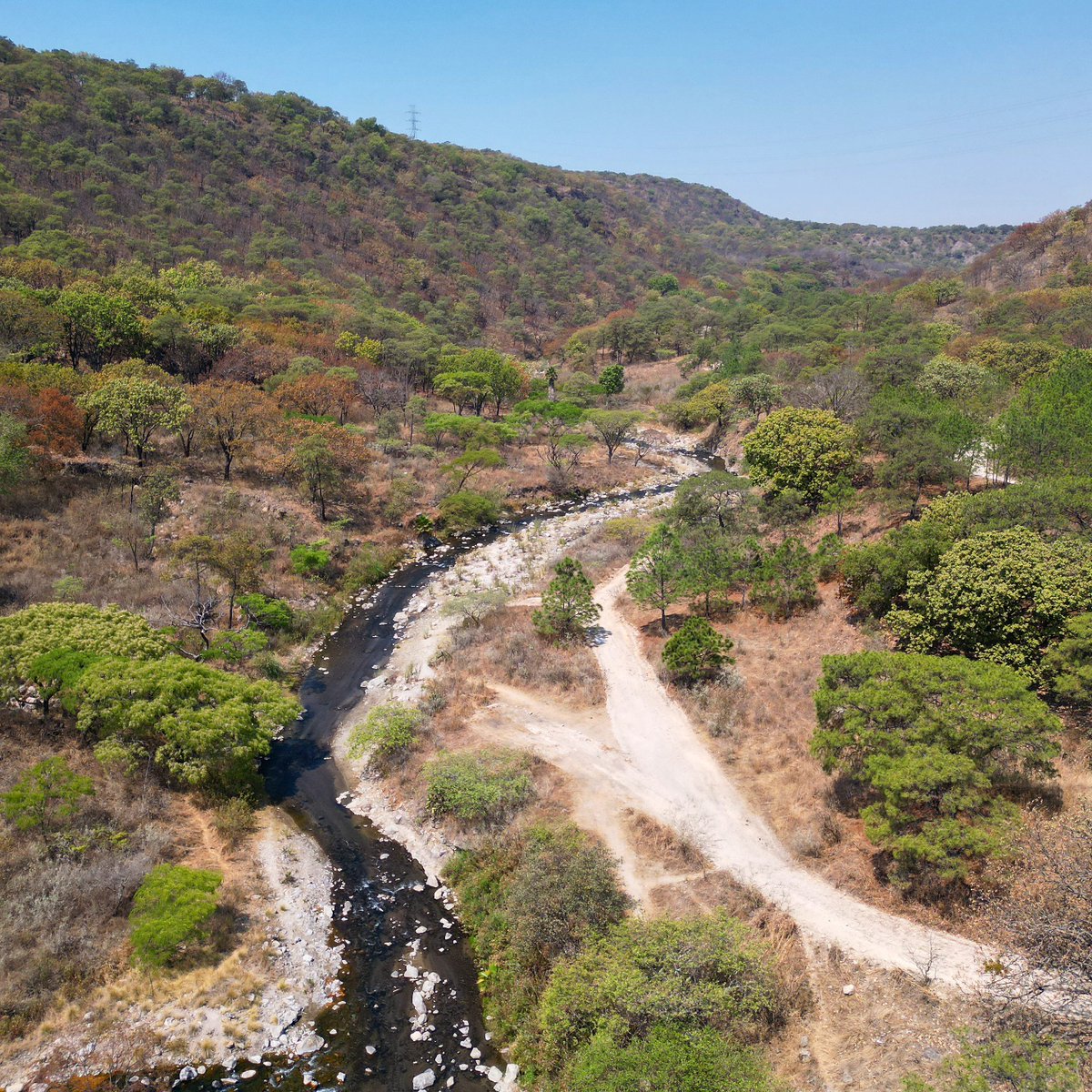 drondeando's tweet photo. Vista del Rio Caliente en el bosque de la primavera #jalisco #drone #dronelife https://t.co/Xp5ifF7Fsq