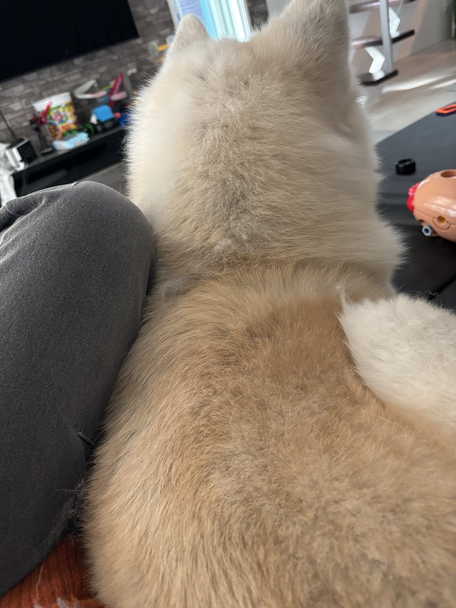 ْ (@65907_30_4) / Posts / X