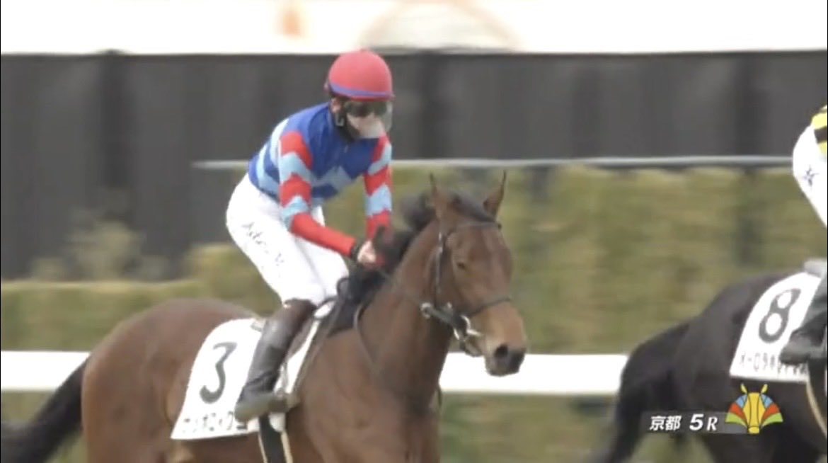 ピーちゃん (@ptan16pico28) / Posts / X