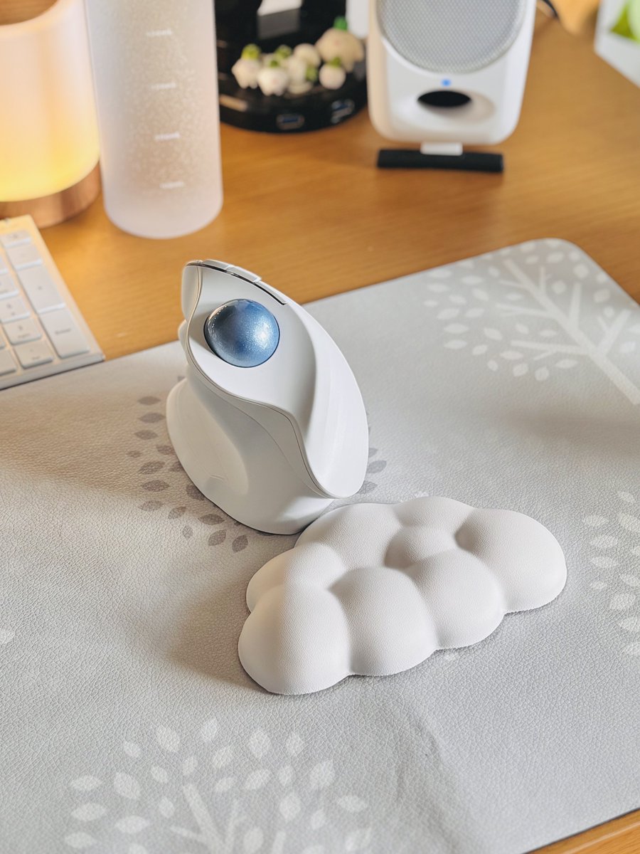 そいや最近トラックボールマウスに変えました