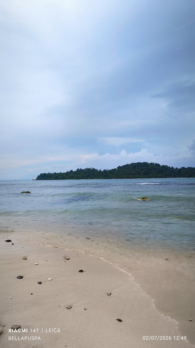Bella Hadiprajitno tweet media