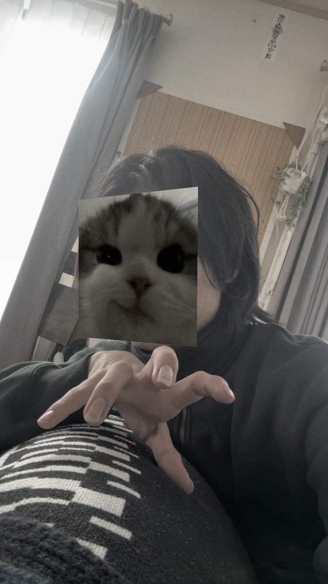 SHOKON28's tweet photo. 髪切りました〜センター分けにしたんだよ？
可愛いかい？

猫ちゃんが🐱( '-' 🐱 )ﾈｺﾁｬﾝ https://t.co/FWb5YGu2b8