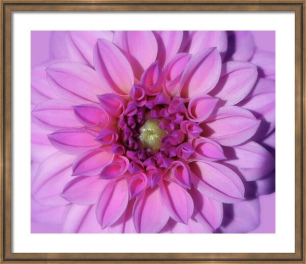 Hurmerinta Art tweet media