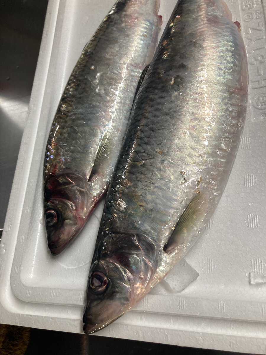 OtotoDiningBou (@bouzbou) / Posts / X