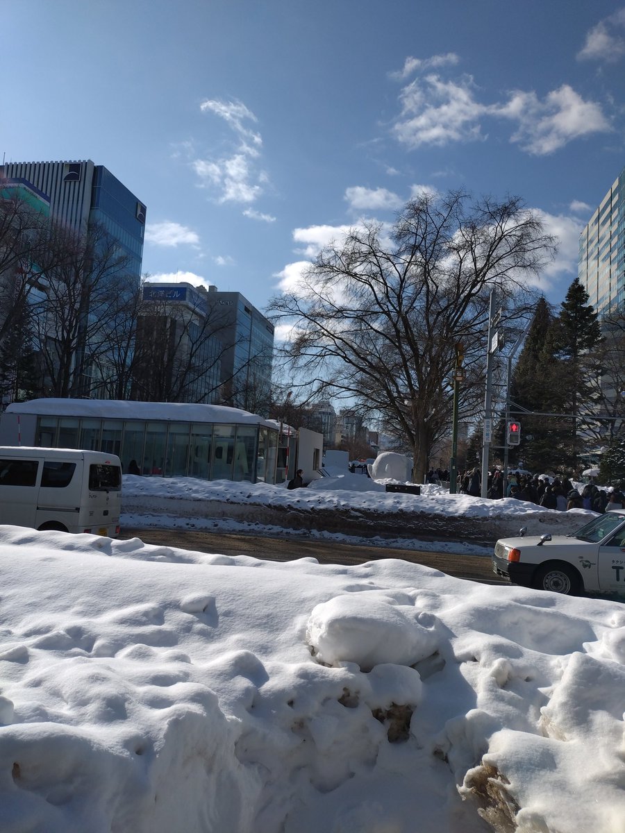 雪祭り会場を撮ったつもりだったけど何の写真なのかわからなくなった写真（バスの時間で急いでたけどやっぱり撮っておこうの1枚）