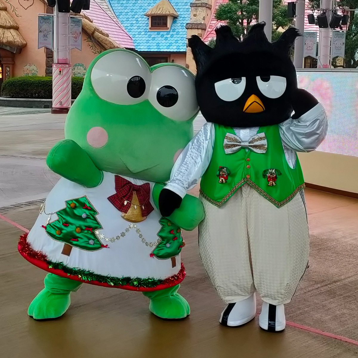 蓮の上けろっぴ (@kero2keroppi) / Posts / X