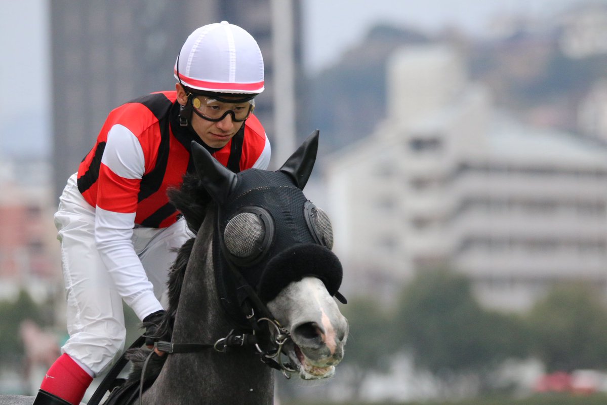 chocoleopard's tweet image. ウインアクトゥール
菊沢一樹
栗田徹厩舎