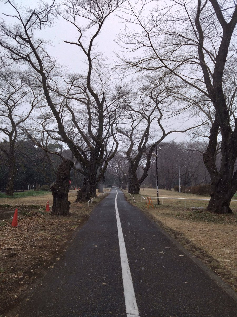 sarutasensei's tweet image. 国立ハンセン病資料館。雪。