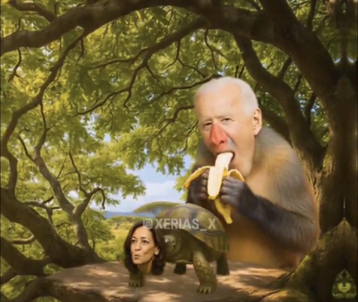 Paul Njau tweet media