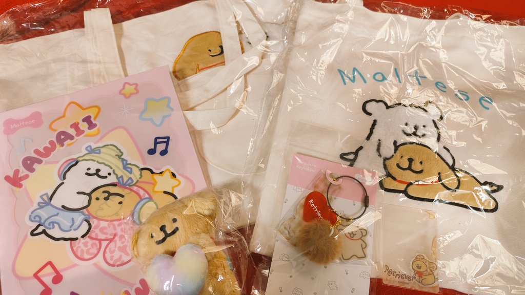 _chouchou_cream's tweet image. もるちのPOPUP行ったよ🐶 #モルチーズ  #maltese