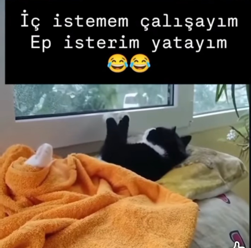 Yine kalktık yine İşteyiz yine ayaktayız ne ara böyle olucaz bilen varmı. günaydın arkadaşlar..