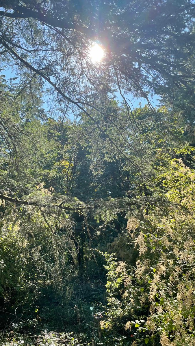 Colour🍎🎶❇️💛 (@syleaux) on Twitter photo 