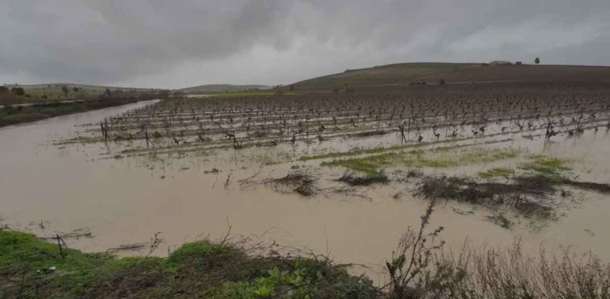 💦💦💦Andalucía colapsada, como Valencia fue arrasada, como la Península flambeada🔥🔥🔥 en verano...España, convertida en un gigantesco desierto de molinos y placas, mientras Marruecos nos sustituye.
#HAARP #Colapso #caos