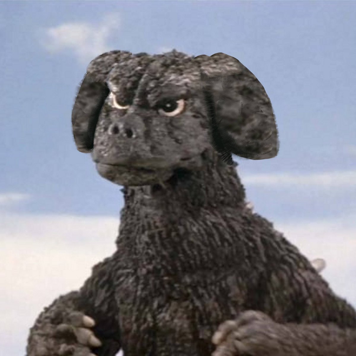 ★Nate D Hernandez★ tweet media