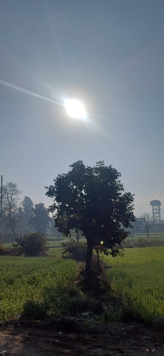 "Good morning once again, 
"Like the son's ray's,              
stay bright - no matter how dark the  moment feel's. "         "Jai shri Radhe Radhe 🙏