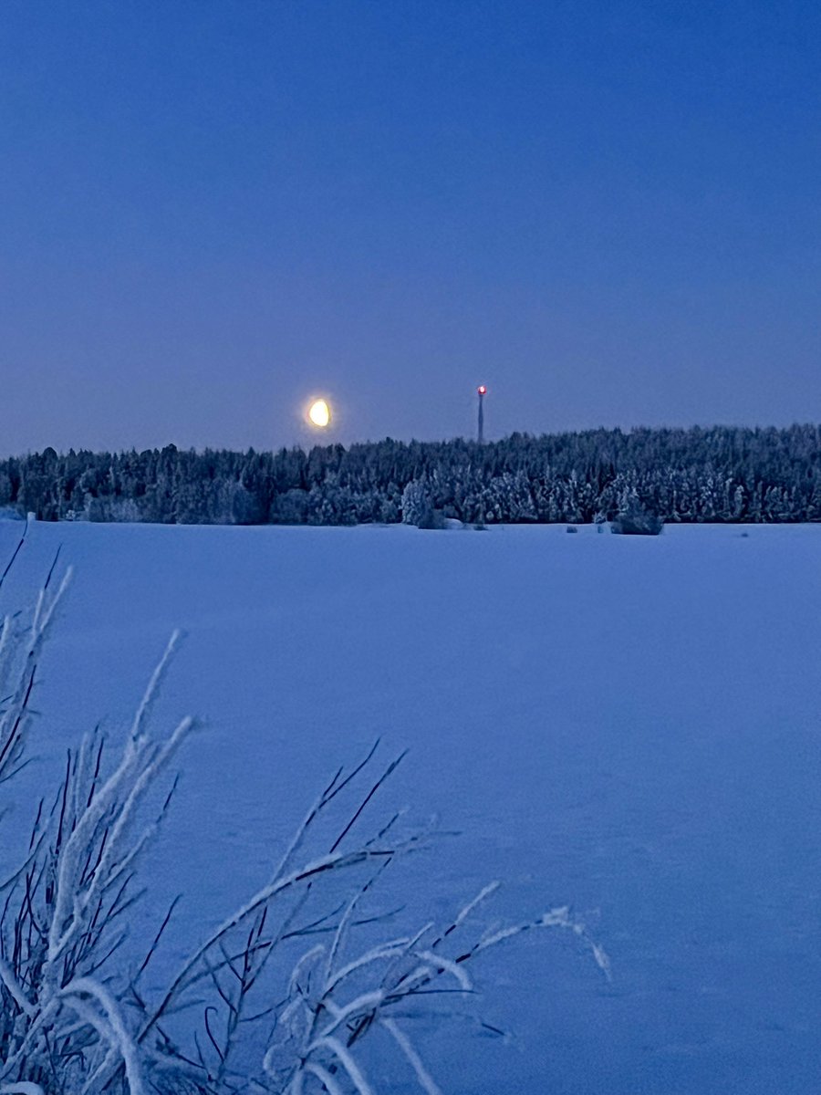 Pansar Fem tweet media