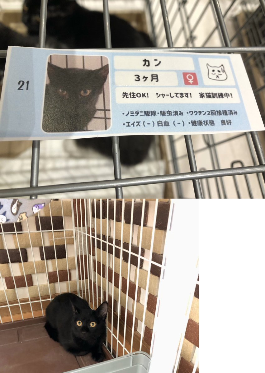 知旦那☆彡 tweet media