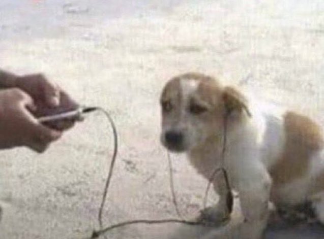 Pqp que música ruim