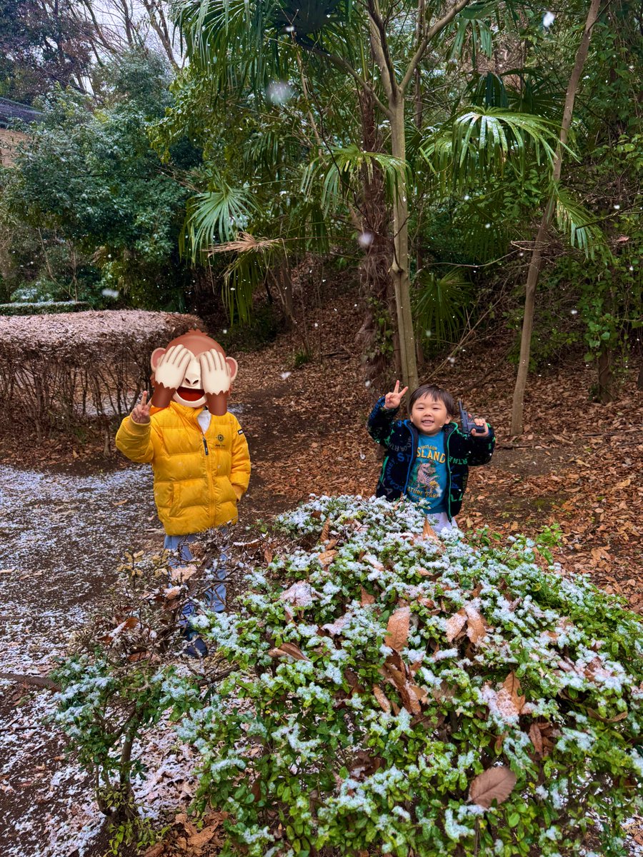 あやなん (@ayachan0619) / Posts / X