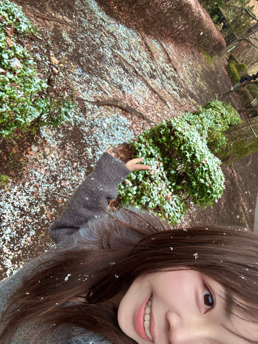 あやなん (@ayachan0619) / Posts / X