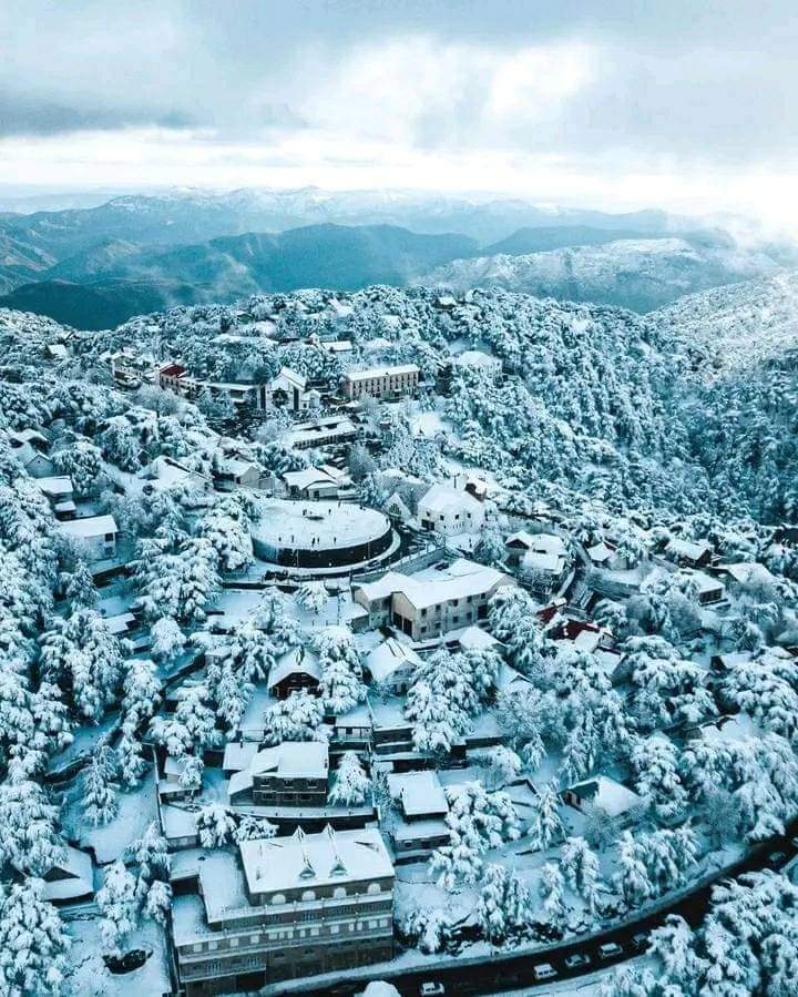 This is not Iceland or Tokyo in Japan.

This is town of Chréa covered in snowfall in Algeria 🇩🇿, Africa.