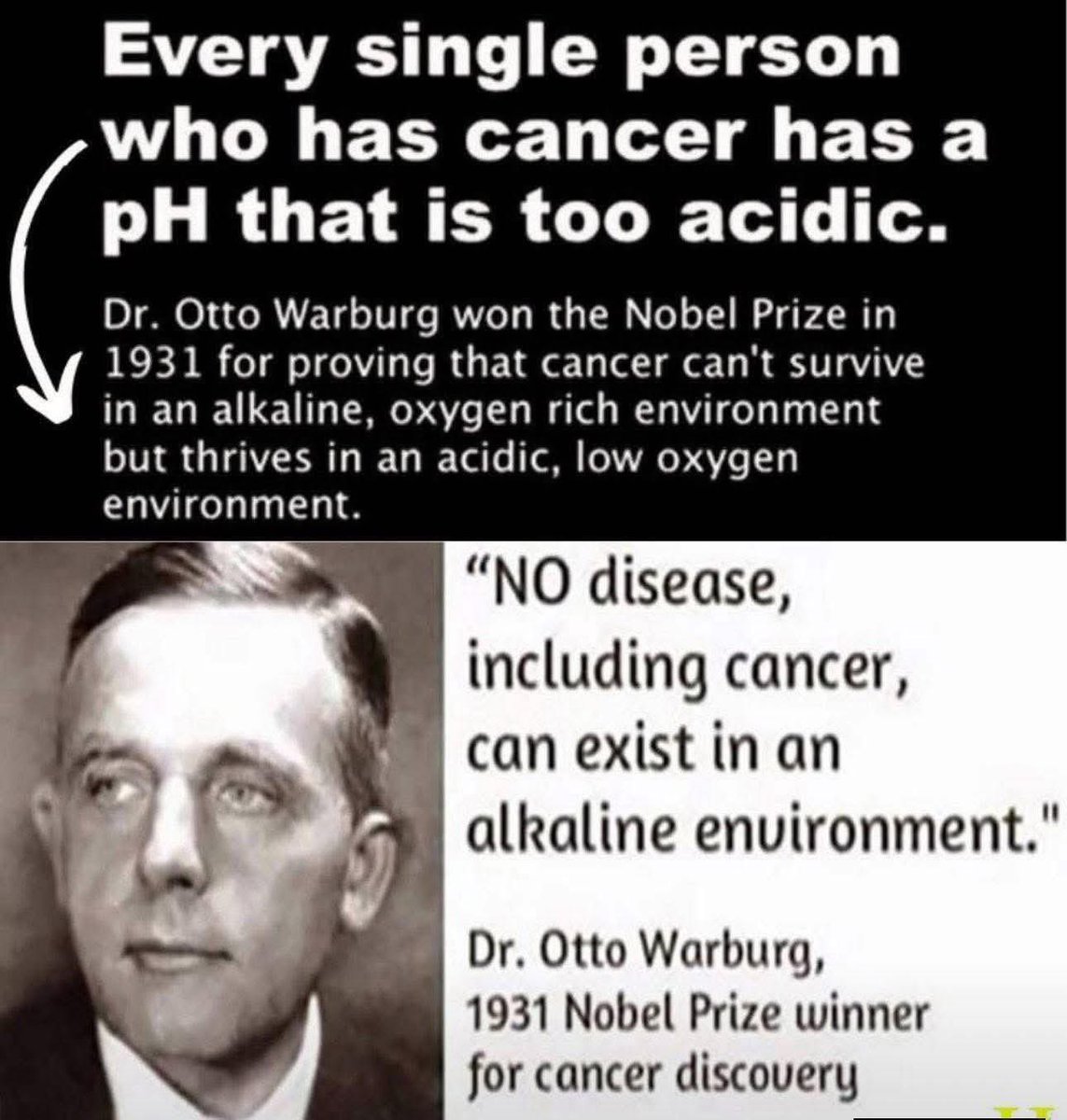 🧬Maxpein🧬 (@maximumpain333) on Twitter photo 