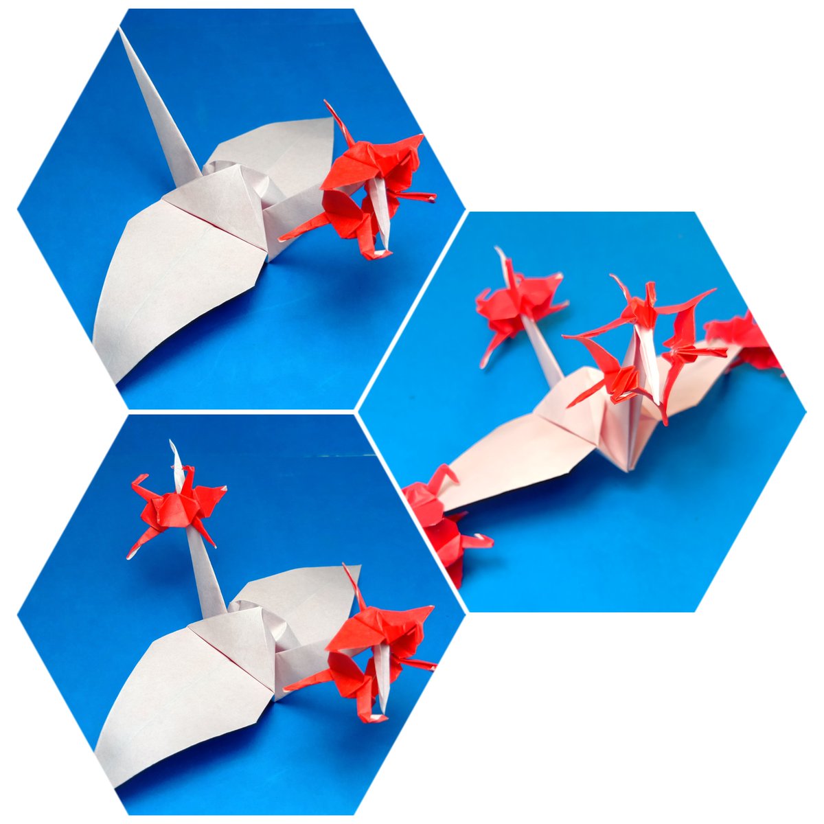 連鶴伝道師 童夢 26年2月4975種到達 次は5000種‼️ (@mrrenzuru