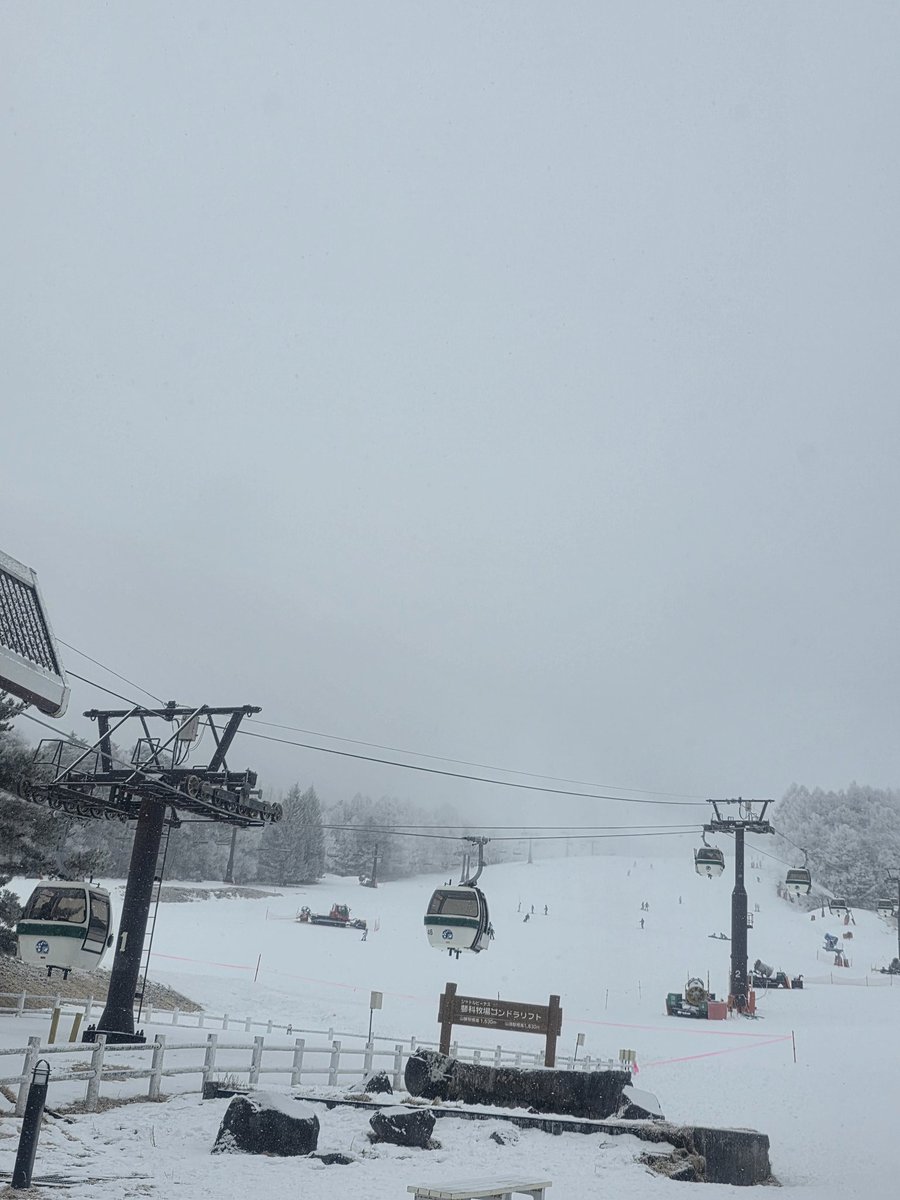 おんちゃん tweet media