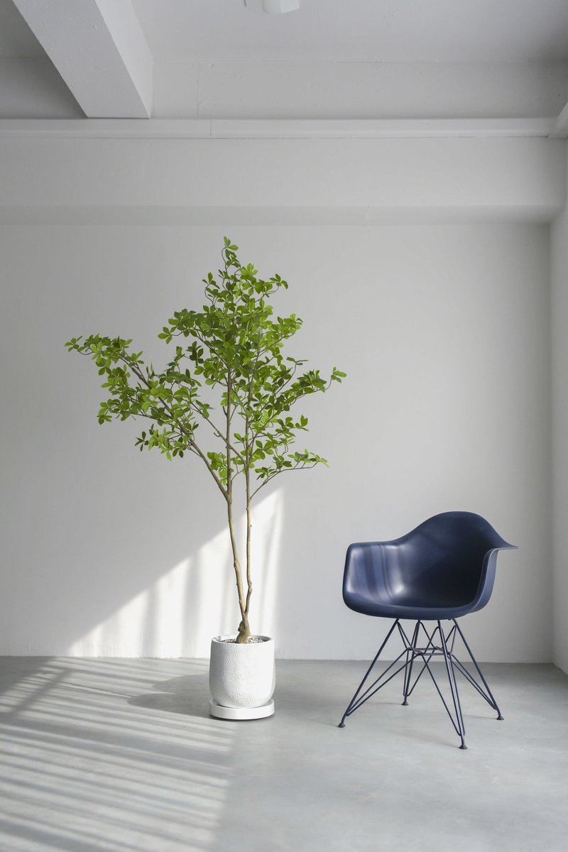 studio Atchoum(スタジオアチューム)/レンタル撮影スタジオ tweet media