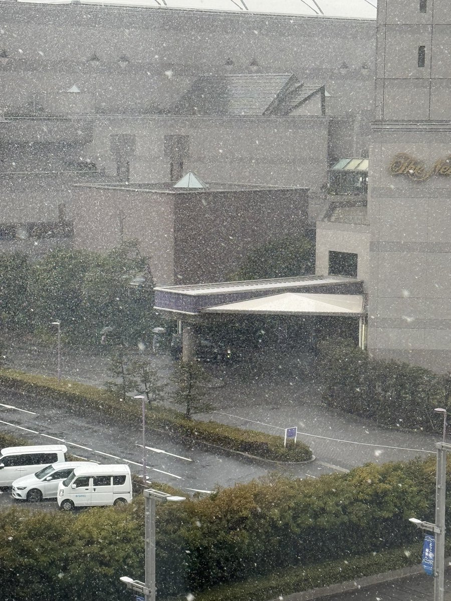 ふくざき tweet media