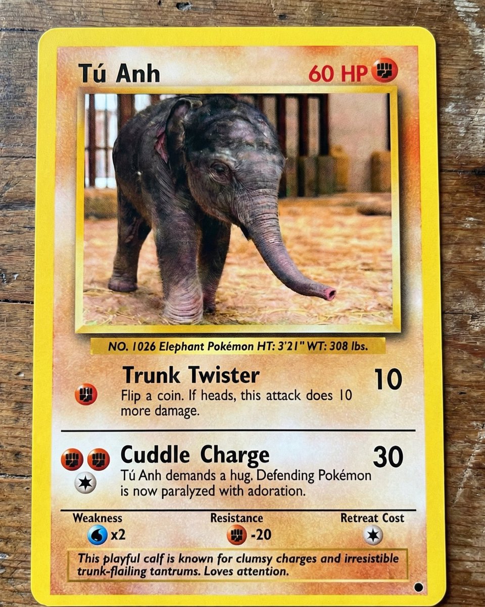 Just pulled a $TuAnh!