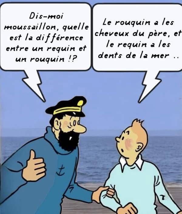 Maryline Maubois tweet media