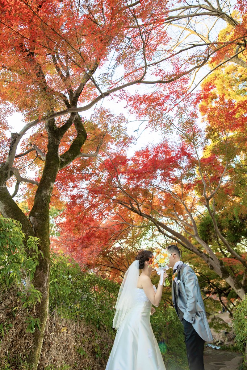 createwedding11's tweet photo. 吉田神社で挙式！ 左阿彌で祝宴
  「お客様の声」を更新！！ 
📣 📷https://t.co/fPnZNcc4Hu 

#クリエイトウエディング #吉田神社 #京都 #白無垢 #口コミ #お客様の声 #京都和婚 #神社婚 #京都婚 #カスタマーレビュー #2025年秋 #左阿彌 ＃ウエディングドレス https://t.co/K7C4dXhCn7