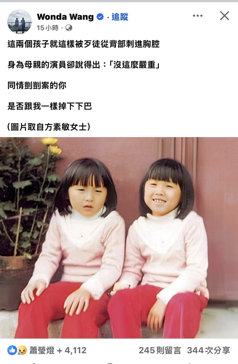 不能被遺忘的歷史！台灣人永遠的傷痛！
國民黨永遠都在踐踏、傷害台灣人，至今都是！
國民黨真的是台灣的藤壺，一定要被滅亡！
取自Wonda Wang臉書