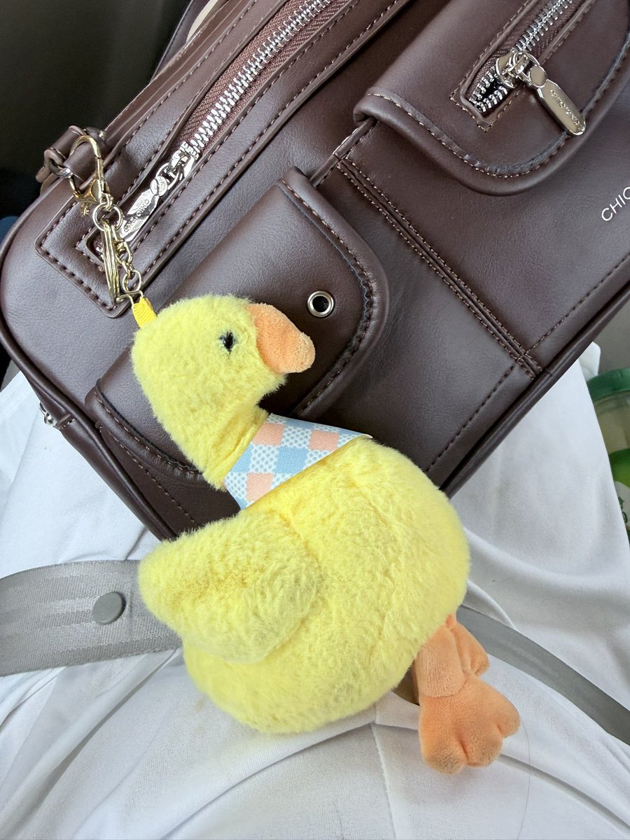 PHJangZ's tweet photo. มาถึงแล้วนะคะ ใครเจอน้องเป็ดทักได้เลย🐥

#PiXXiE_2ndConcert
#PiXXiETalesConcert https://t.co/IfsvHln1Ss