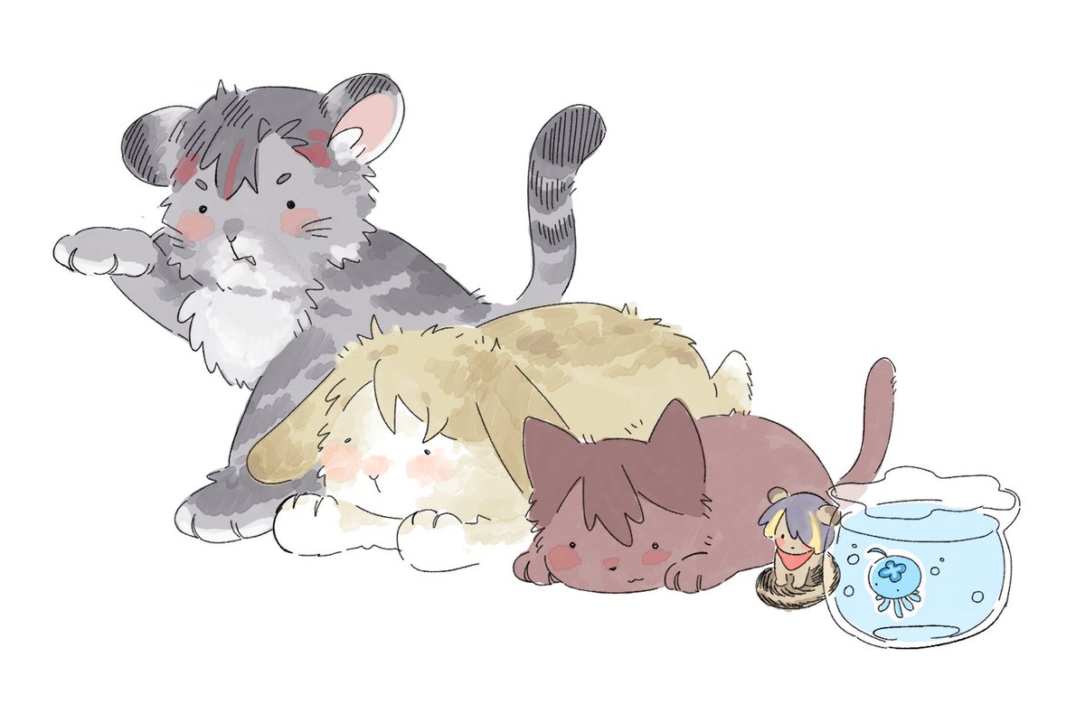 쭈 (@jjuwo0) on Twitter photo 