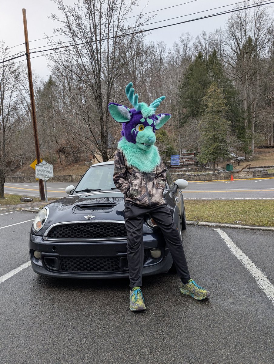 Shamrock Shake tweet media