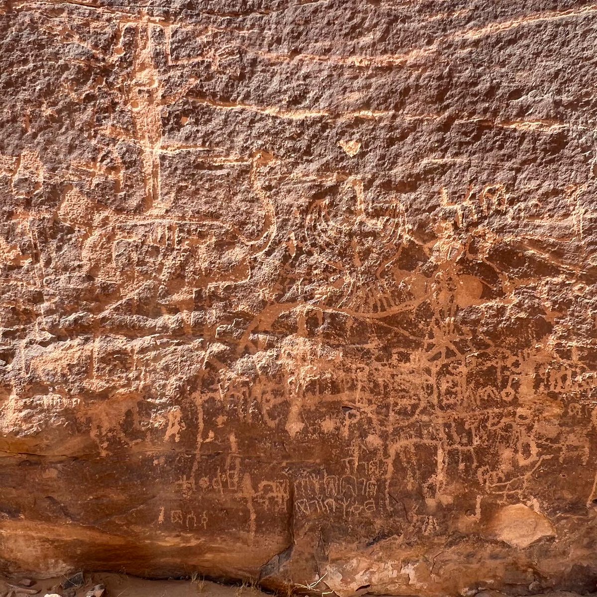 عيد اليحيى tweet media