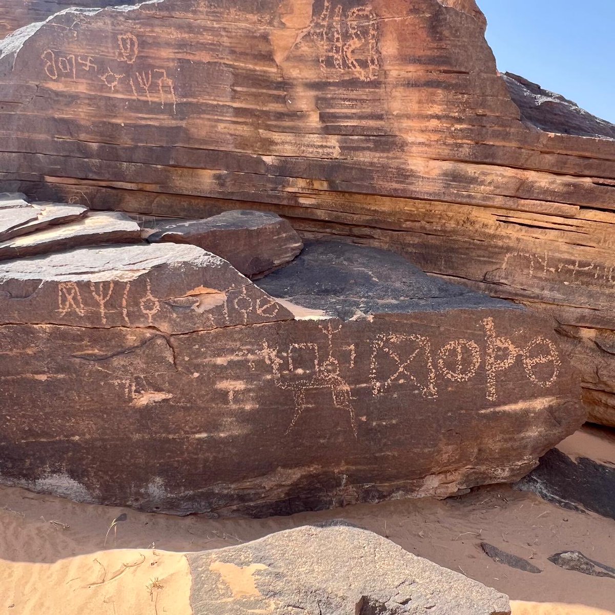 عيد اليحيى tweet media