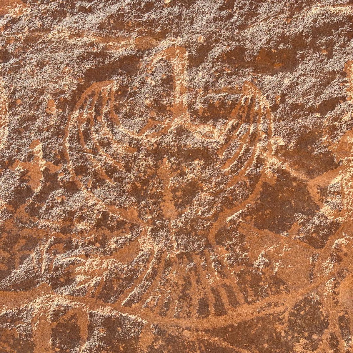 عيد اليحيى tweet media