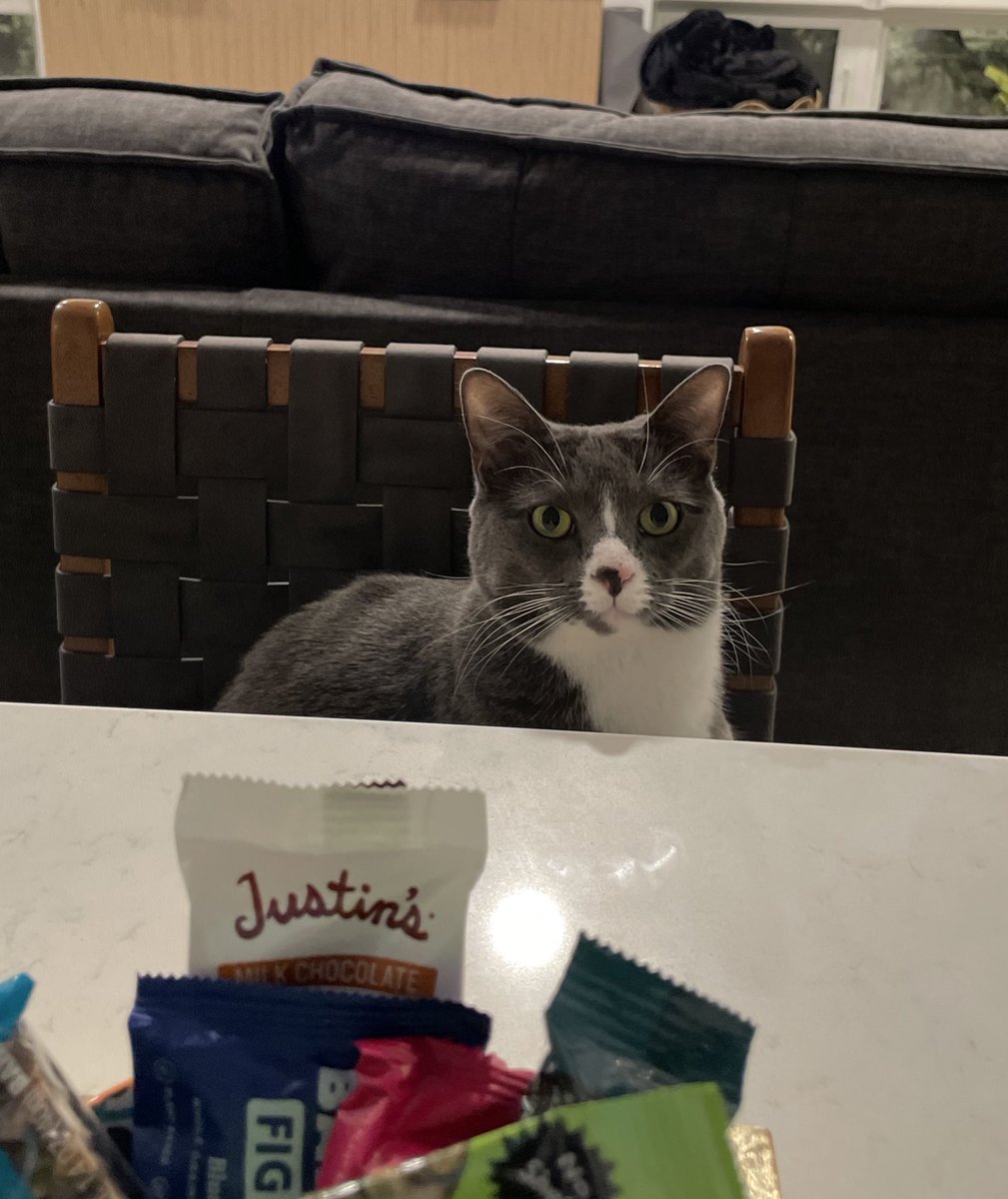 krimothy tweet media