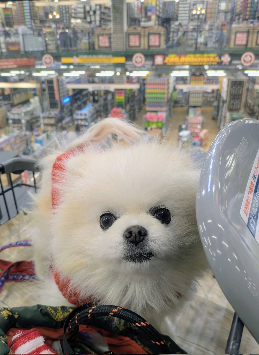 Lefrancルフラン tweet media