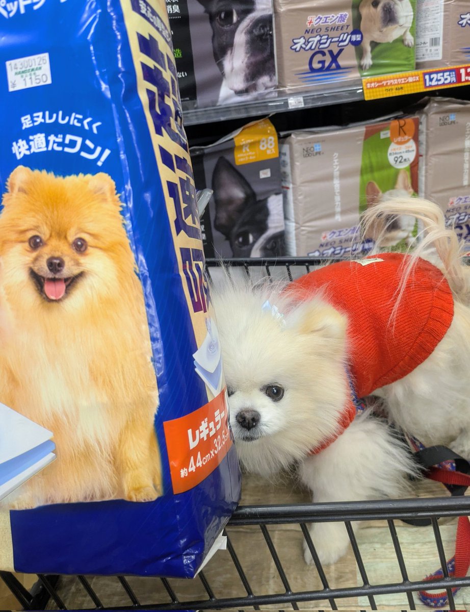 Lefrancルフラン tweet media