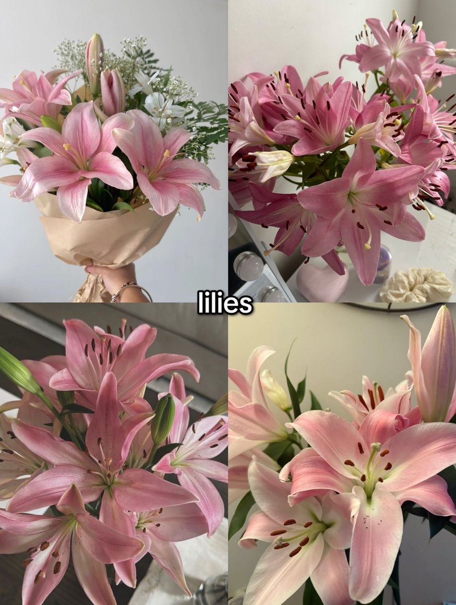 bloomifyyy's tweet image. 