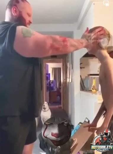 Shahin Mohseni tweet media