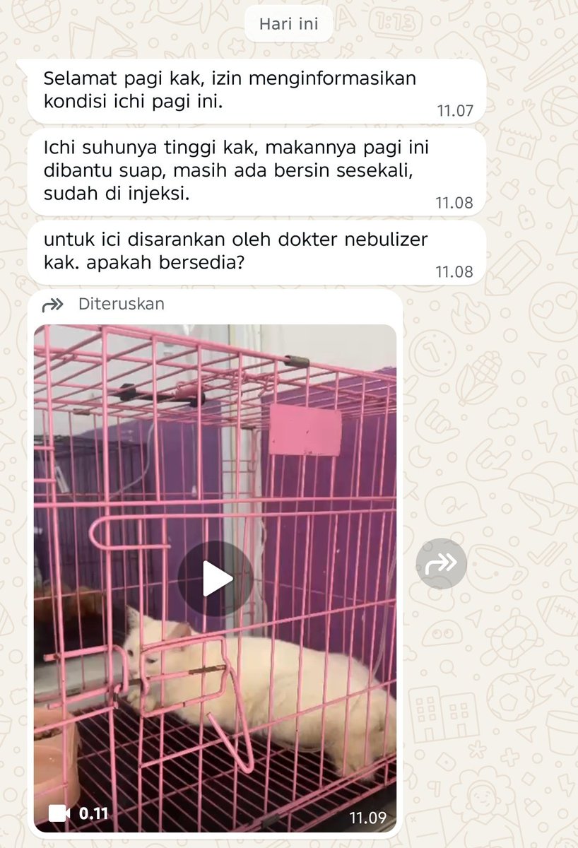 Udah seminggu di klinik dirawat. 🥲